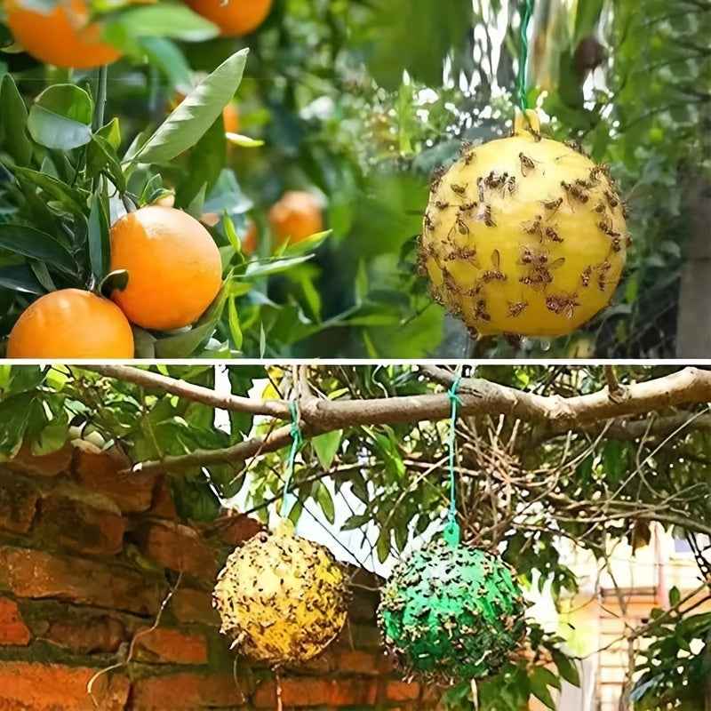 Sticky Fly Balls for Catching Mosquitoes & Pests - Eco-Friendly Pest Control - 1 Piece
