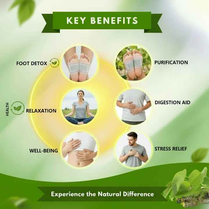 Herbal Giloy Detox Foot Patches for Body Detox Support and Stress Relief - Buy 1 Get 3 Free (20 Patches)