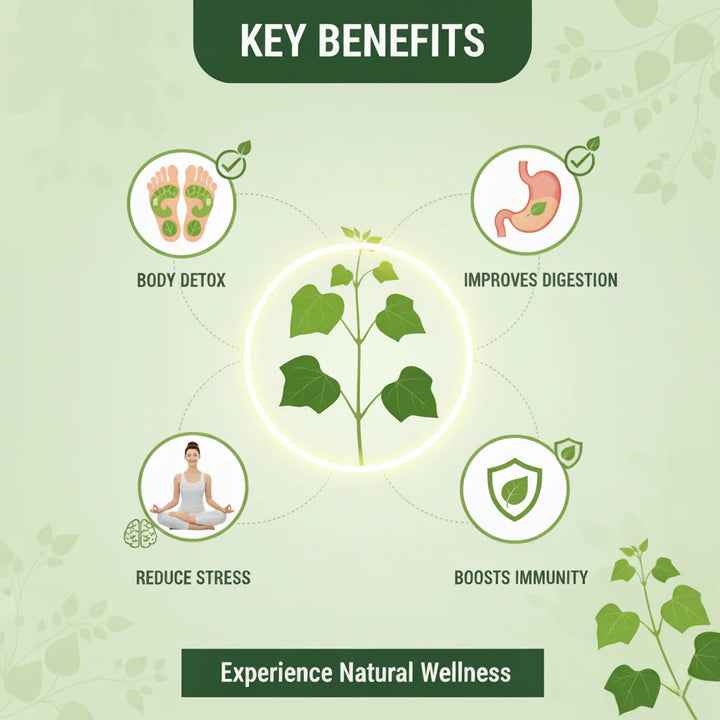 Herbal Giloy Detox Foot Patches for Body Detox Support and Stress Relief - Buy 1 Get 3 Free (20 Patches)